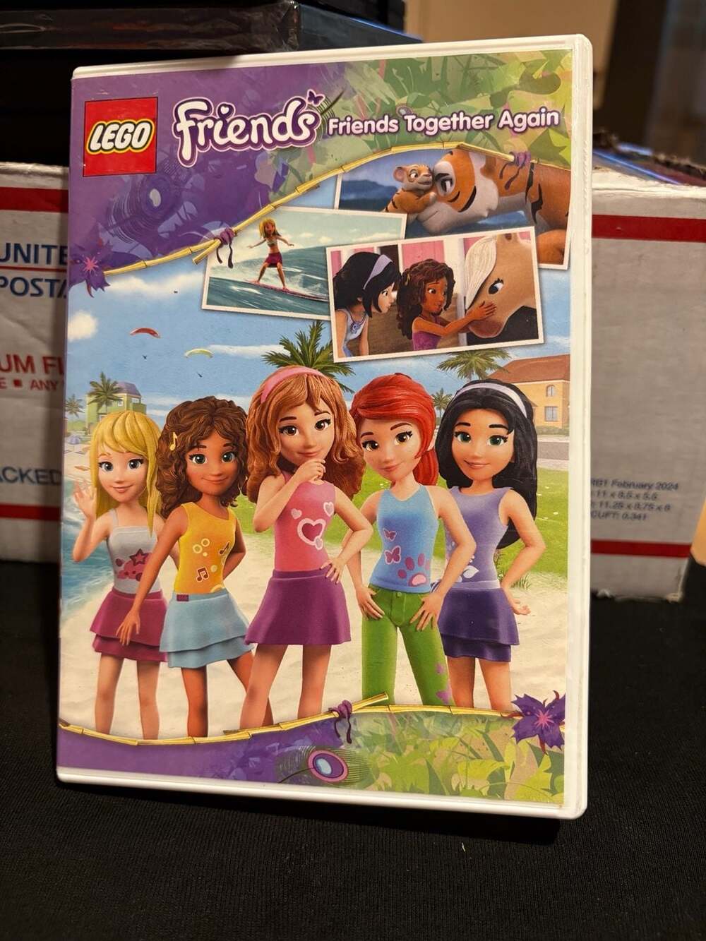 LEGO Friends: Friends Together Again DVD